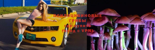 гашик Армянск