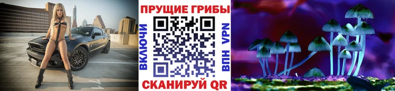 МЕГА tor  Калязин  Галлюциногенные грибы MAGIC MUSHROOMS 